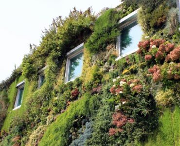 mur-vegetalisé par votre constructeur archidesign
